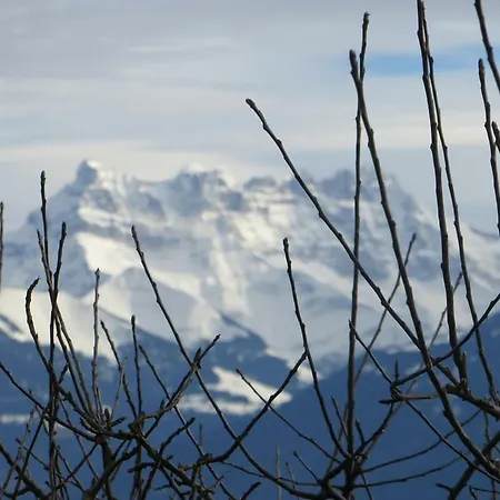 Maison Familiale à Avec Vue Sur Le