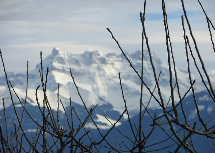 Maison Familiale A Avec Vue Sur Le