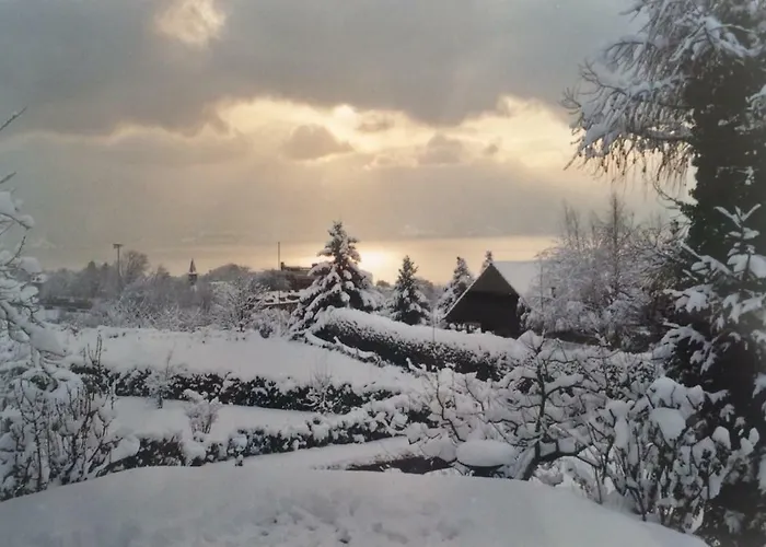 Maison Familiale A Avec Vue Sur Le Montreux