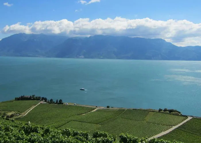 Maison Familiale A Avec Vue Sur Le